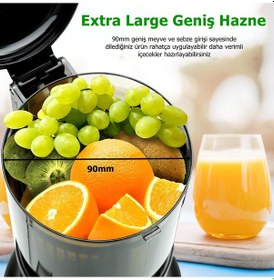 Resim Rowenger PUE-2109N Slow Juicer Yavaş Sıkım Katı Meyve Sıkacağı 