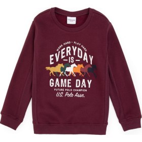 Resim U.S. Polo Assn. Erkek Çocuk Bordo Şardonlu Bisiklet Yaka Sweatshirt 50316406-VR177 
