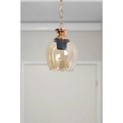 Resim Nidage Zincir Modern Tasarım Hol Mutfak Antre Çocuk Odası Altın - Gold Renk Bal Camlı Tekli Avize 