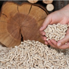 Resim Genel Markalar Iklim Çam Pelet Yakıtı % 100 Çam Peleti Kedi Kumu 5 Kg 