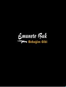 Resim TORQUE Emanete Bak Bebeğim Gibi Araç Yazısı 35x13cm 