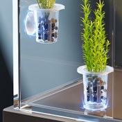 Resim 5 adet veya 10 adet Şeffaf Plastik Akvaryum Planter Bardakları ile Emme Kupası Tabanı - Taze Su Balık Tankı Süslemesi için Şeffaf Su Bitkisi Yetiştirme Konteyneri, PP Malzeme, Hidroponik Bitkiler ve Akvaryum Süslemesi için Harika, Taze Su Süslemesi | Dekoratif Akvaryum Bardakları | Şeffaf PP Malzeme, Akvaryum Aksesuarları 