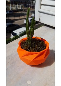 Resim Opencart Yüzlü Vazo Sadece Plastik Aparattır 