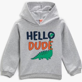 Resim Erkek Bebek Hello Dude Baskılı Kapüşonlu Sweatshirt 