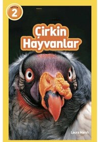 Resim Çirkin Hayvanlar Çok Renkli 