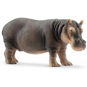 Resim Schleich Su Aygırı 14814 