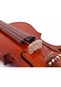 Resim Dadı Dv22 Keman Susturucu-Surdin 