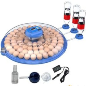 Resim Aesco 80 Tavuk 240 Kuş Yumurta Kapasiteli Çift Viyollü Kuluçka Makinesi - Kaz, Ördek, Tavuk, Bıldırcın Için ( Lisinya ) 