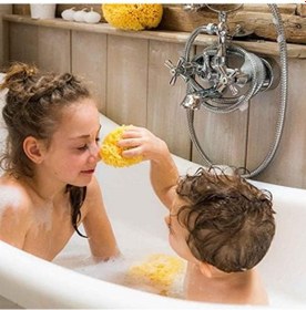 Resim Bellini%100 Doğal Akdeniz Süngeri - Bebek Banyo Süngeri - Size:8 Açık Kahverengi 