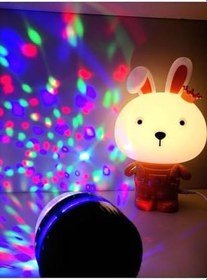 Resim Rcb Yıldız Yansımalı Sihirli Küre Ve Tavşan Led Gece Lambası 