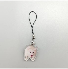 Resim Sunshine022 2d Düz 3cm Anahtarlık Kedi Kusmuk Maskeli Köpek Savaş Kedisi Telefon Kolyesi 