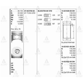 Resim GOETZE ISS 14-21920-0 Gömlek Std Isuzu 4Hg1 115Mm 