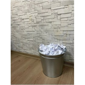 Resim Iki Adet Galvaniz Renk Ofis Tipi 10 Litrelik Çöp Kovası, Şık ve Kullanışlı Seçim 