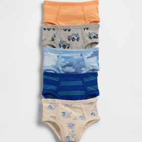 Resim Çok Renkli Organik Stretch Pamuk Brief Külot (5'li) - Çok Renkli / 2-3 YRS 