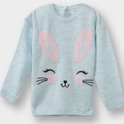 Resim Defacto Kız Bebek Bisiklet Yaka Tavşan Baskılı Triko Kazak F2632a525wnbe216 Mavi-be216 