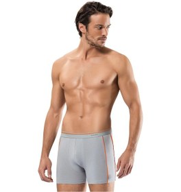 Resim Erdem Gri Boxer 1431 Gri 