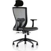 Resim Uzay Ofis Grand Bel Destekli Müdür Koltuğu Plastik Ayak - Plastik Kol - Siyah 