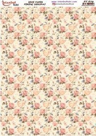 Resim Pirinç Dekopaj Kağıdı 30x42cm Pt-679 