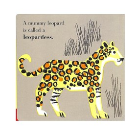 Resim Animal Families: Safari - 2 YAŞ VE ÜZERİ 