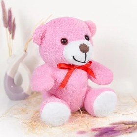 Resim 20-25 cm Papyonlu Pelüş, 20 Cm, Yumuşak, Sevgiliye Hediye,ayı,peluş Ayıcık,plush Toys,oturan Ayı,ofis Hediyesi,renkli Ayıcık (Pembe) 