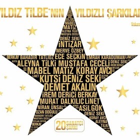Resim Yıldız Ti̇lbe'ni̇n Yıldızlı Şarkıları Vol 1 2'li Plak 