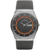 Resim Skagen SKASKW6007 Erkek Kol Saati 