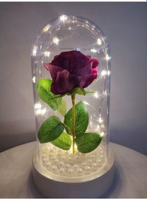 Resim Işıklı Beyaz Tabanlı Pembe Gül Işıklı Fanus 