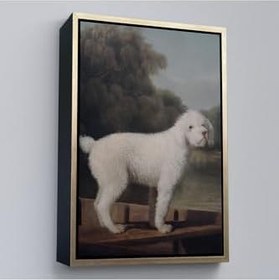 Resim Ahşap Çerçeveli George Stubbs Beyaz Kaniş Tablo 55x75 cm Kahverengi, TTÇ.KNV8034FRM 