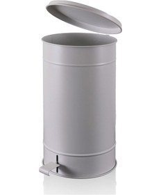 Resim The Mia Çöp Kovası Açık Gri 24 Lt Glv0774 