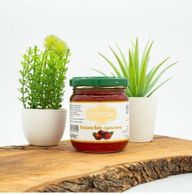 Resim Köyceğiz Balı Kestane Balı Cam Kavanoz 250 G 
