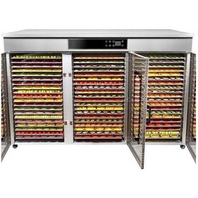 Resim Dalle Lt-021 Dijital 60 Tepsili Paslanmaz Çelik Meyve Sebze Kurutma Makinesi 