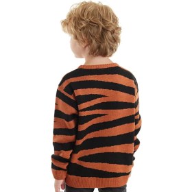 Resim Denokids Kahverengi Kaplan Desenli Erkek Çocuk Kazak Bisiklet Yaka Uzun Kol Günlük Stil 