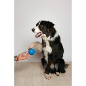 Resim PALLA RUGA KÖPEK ÇİĞNEME OYUNCAĞI 