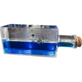 Resim Şişe Içinde Batmayan Gemi ALK3414 