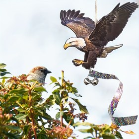 Resim Geniş boyutlu kuş kovucu kel kartal kolye, 2 zil ve 60 cm yansıtıcı bant ile birlikte, meyve bahçelerini, bağları, sebzeleri, mahsulleri korur 