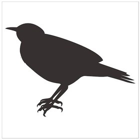 Resim Kuş Folyo Sticker Derstv934 60cm Uzunluk Siyah 