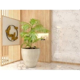 Resim Nuano Consept Vera Serisi Yuvarlak Saksı Koyu Gri 34x30 