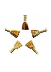 Resim Profosyoneı Zurna Kamışı 5 Adet 