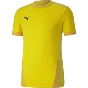 Resim Puma Team Goal 23 Erkek Çok Renkli Futbol Tişört 70417107 