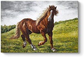Resim Yağlıboya Kahverengi At Tablosu 60 x 40 