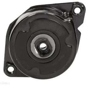 Resim Bmw E46 Kasa 320d M47 Motor Kayış Gergi Kütüğü Ina Marka 534023910 - 64557786076 