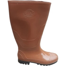 Resim Arısan Uzun Çizme 