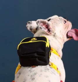 Resim Pawlook Köpek Göğüs Tasması Sırt Çantası - Siyah 