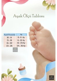 Resim Hitra Tekstil 5'li Hayvan Desenli Organik Dikişsiz 0/3 Yaş Bebek & Çocuk Çorap Lacivert 0-6 Ay Hit-82001 Çok Renkli 