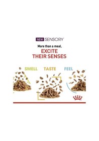 Resim Royal Canin Sensory Smell Gravy Kedi Konservesi 12x85 Gr 