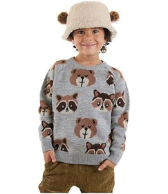 Resim Denokids Ayı Rakun Erkek Çocuk Gri Triko Kazak Renkli 