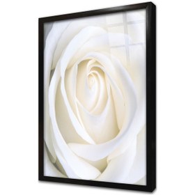 Resim Beyaz Gül Çerçeveli Cam Tablo 