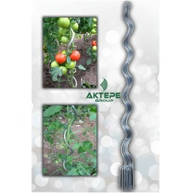Resim 20 Adet 150 Cm Spiral Bitki Destek Teli Sarmal Çiçek Teli Fidan Çubuğu 