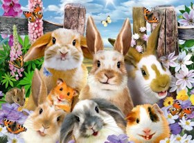 Resim Ravensburger 100 Parça Puzzle Rabbit Selfie 109494 