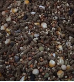 Resim Karışık Kemirgen Yemi Hamster Ginepik Tavşan Yemi 1 Kg 